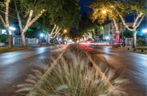 Juntos en Providencia